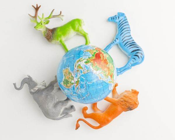 Declin global - numărul animalelor, în scădere la jumătate dintre specii